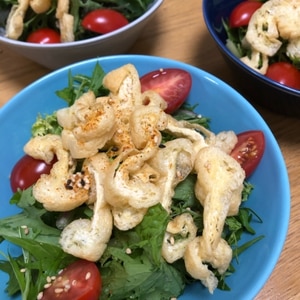 カリカリ油揚げと水菜のゴマ風味サラダ✿